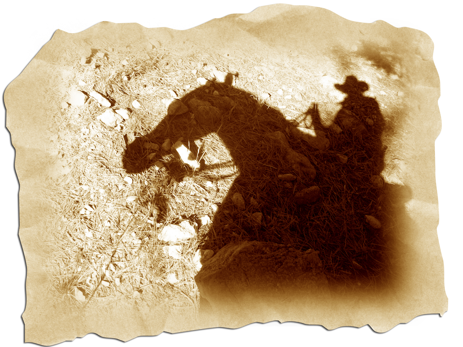 January’s Exercise – Be A Shadow Rider